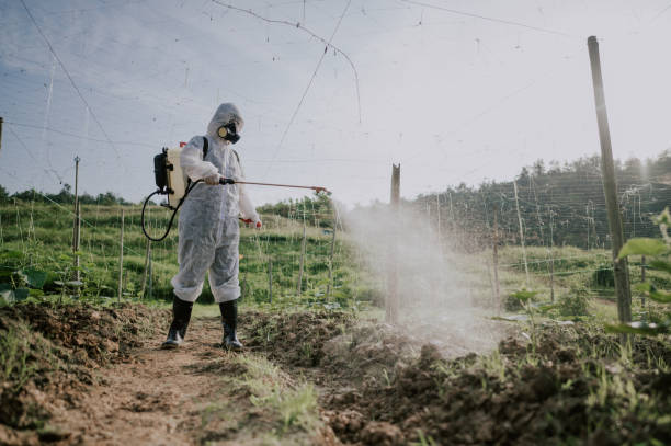 Best Local Pest Control Services  in Brookneal, VA