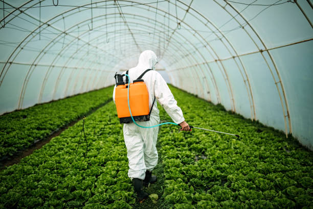 Best Mosquito Control Services  in Brookneal, VA