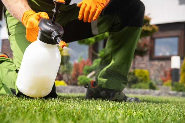 Best Pest Inspection Near Me  in Brookneal, VA