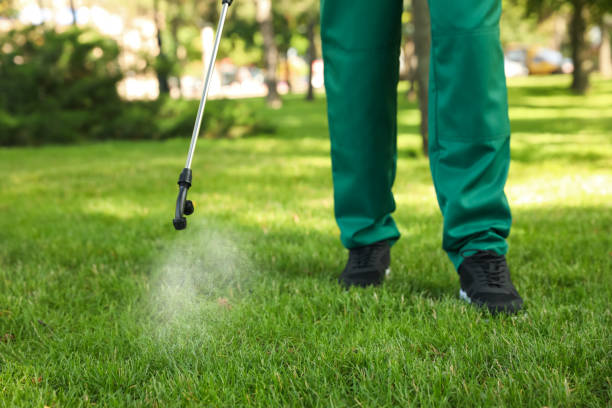 Reliable Brookneal, VA Pest Control Solutions