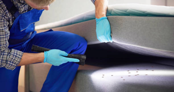 Best Flea Control Services  in Brookneal, VA