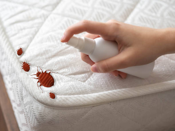 Best Cockroach Control Services  in Brookneal, VA