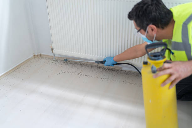 Best Best Pest Control Companies  in Brookneal, VA