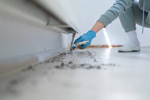 Best Mosquito Control Services  in Brookneal, VA